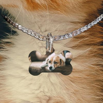 Bone Shaped Pet Tag