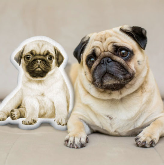 Customized Shape Cushions: A Great Way to Show Your Affection Customized Shape Cushions: A Great Way to Show Your Affection