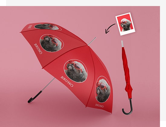 Features of Our Printed Umbrella Features of Our Printed Umbrella