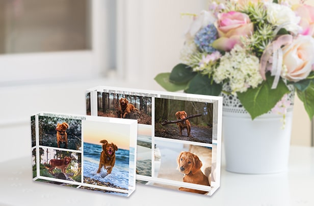 Designing a Photo Collage is Easy as Blinking! Designing a Photo Collage is Easy as Blinking!