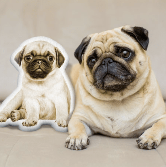 Customized Shape Cushions: A Great Way to Show Your Affection Customized Shape Cushions: A Great Way to Show Your Affection