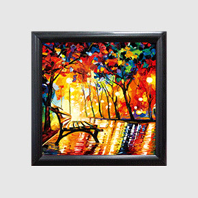 Framed 3D Picture
