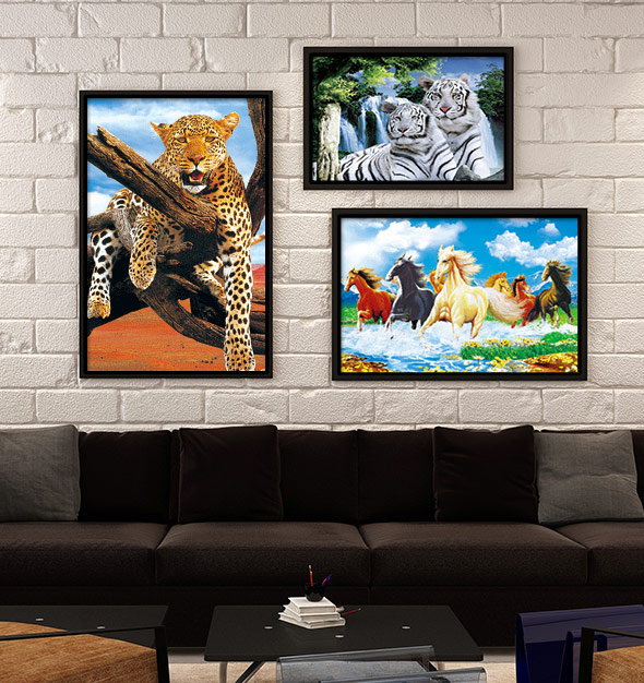 Wild Animal 3D Picture Frames